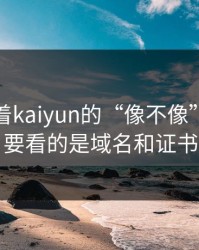 别只盯着kaiyun的“像不像”，真正要看的是域名和证书
