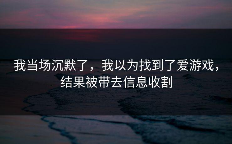 我当场沉默了，我以为找到了爱游戏，结果被带去信息收割